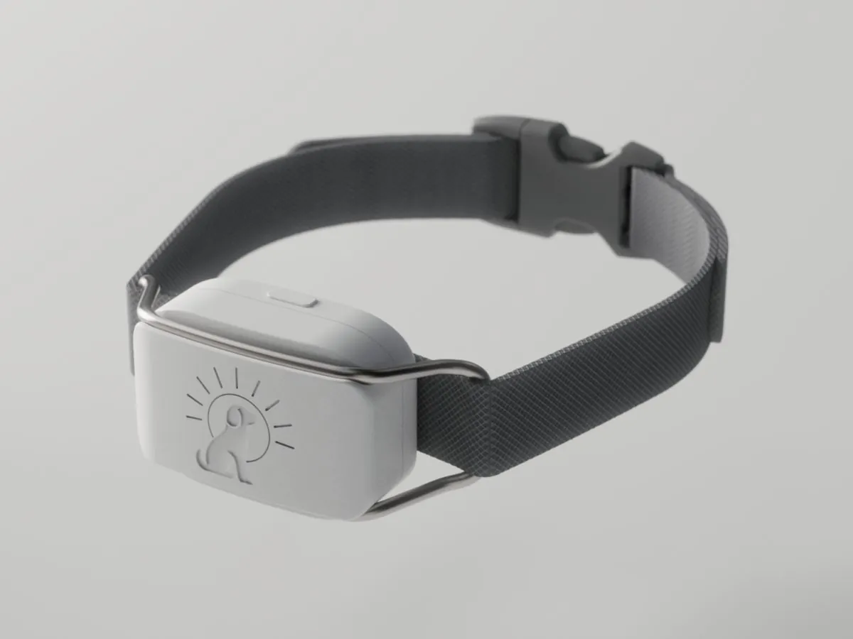 The optional SilentBuddy collar tag: a small white unit on a grey woven collar